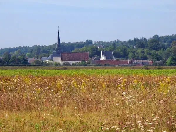 Borne de Recharge 41 Installateur borne de recharge Angé
