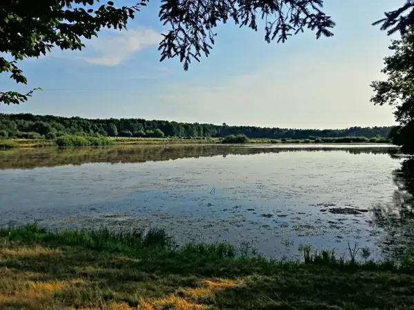 Borne de Recharge 41 Installateur borne de recharge Thoury